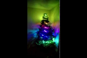 Embedded thumbnail for Christmas Tree animations